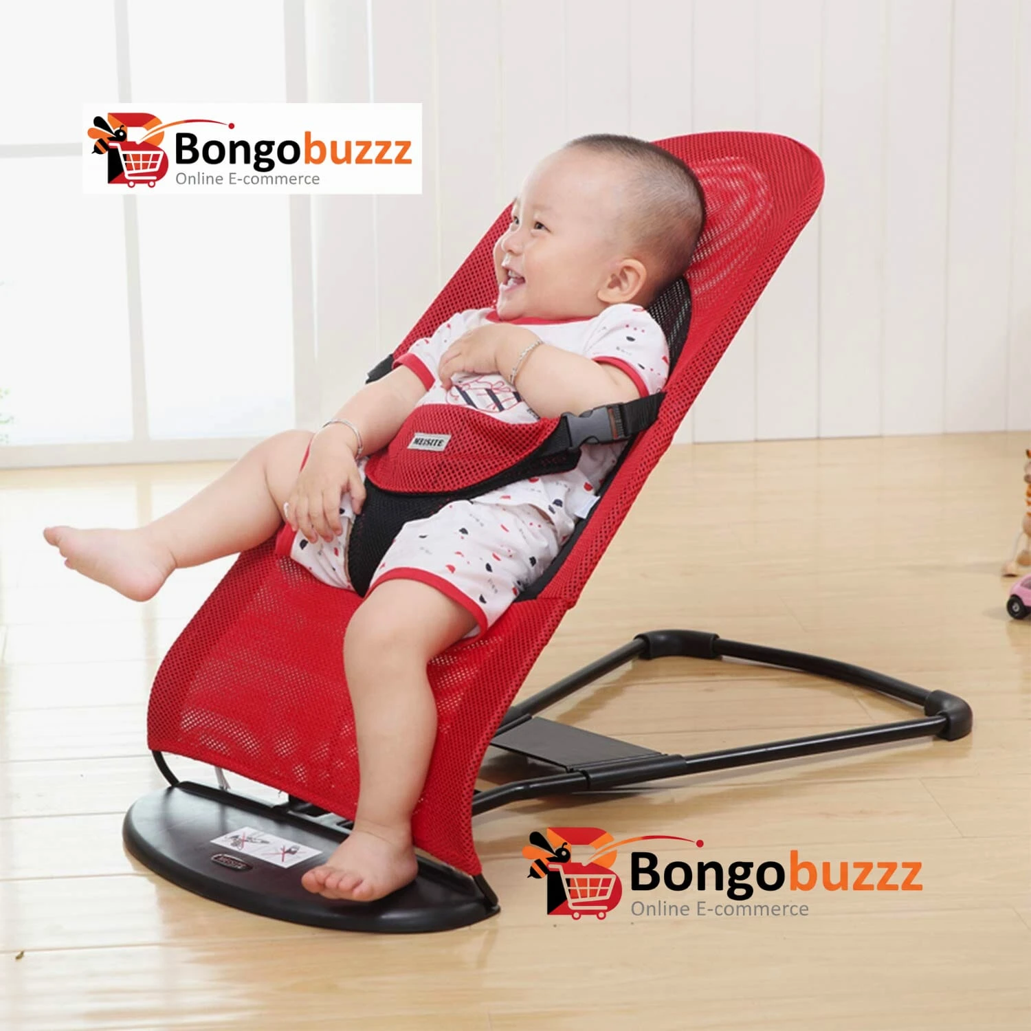 Baby Bouncer